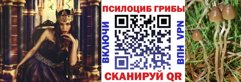 купить наркоту Микунь Псилоцибиновые грибы ЛСД